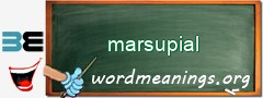 WordMeaning blackboard for marsupial